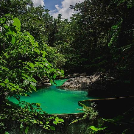 Forest Camp Resort Valencia (Mindanao) Exterior foto